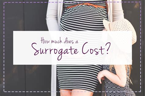 surrogatmamma usa kostnad|How Much Does Surrogacy Cost in USA